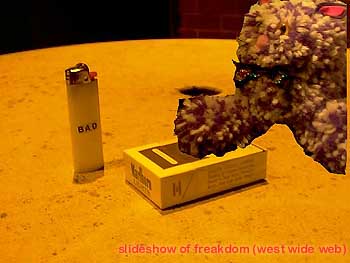 Slideshow of Freakdom
